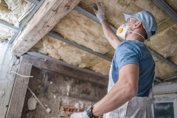 Best Spray Foam Insulation  in Benson, NC